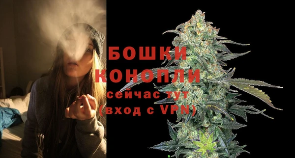ПСИЛОЦИБИНОВЫЕ ГРИБЫ Киреевск