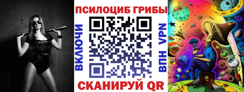 Псилоцибиновые грибы Psilocybe  Купить где  Бирюсинск 